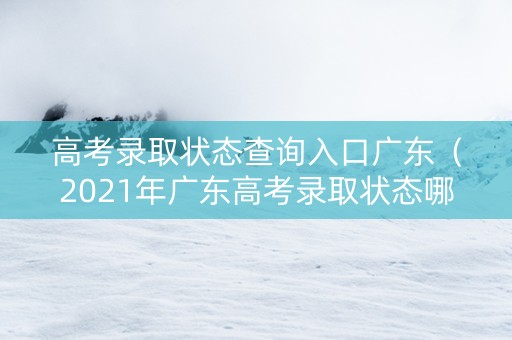 高考录取状态查询入口广东（2021年广东高考录取状态哪里查）