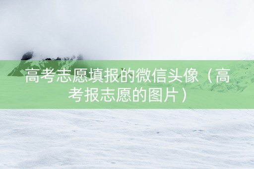 高考志愿填报的微信头像（高考报志愿的图片）