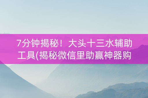 7分钟揭秘！大头十三水辅助工具(揭秘微信里助赢神器购买)
