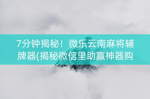 7分钟揭秘！微乐云南麻将辅牌器(揭秘微信里助赢神器购买)