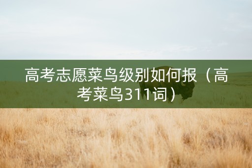 高考志愿菜鸟级别如何报(高考菜鸟311词) 高考志愿菜鸟级别如何报(高考菜鸟311词)