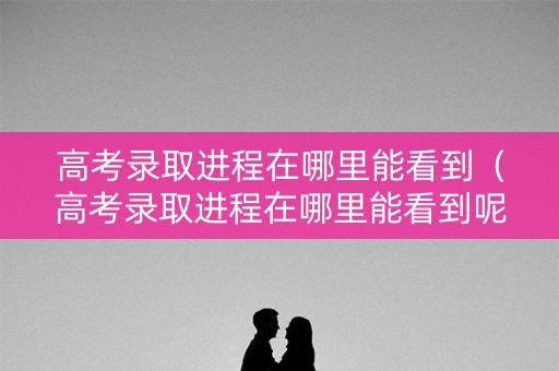 高考录取进程在哪里能看到(高考录取进程在哪里能看到呢) 高考录取进程在哪里能看到(高考录取进程在哪里能看到呢)