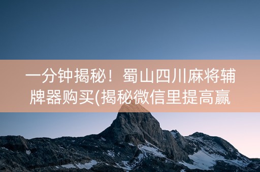 一分钟揭秘！蜀山四川麻将辅牌器购买(揭秘微信里提高赢的概率)