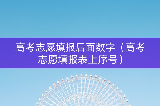 高考志愿填报后面数字(高考志愿填报表上序号) 高考志愿填报后面数字(高考志愿填报表上序号)