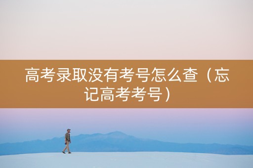 高考录取没有考号怎么查（忘记高考考号）