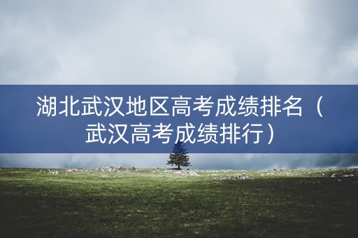 湖北武汉地区高考成绩排名(武汉高考成绩排行) 湖北武汉地区高考成绩排名(武汉高考成绩排行)