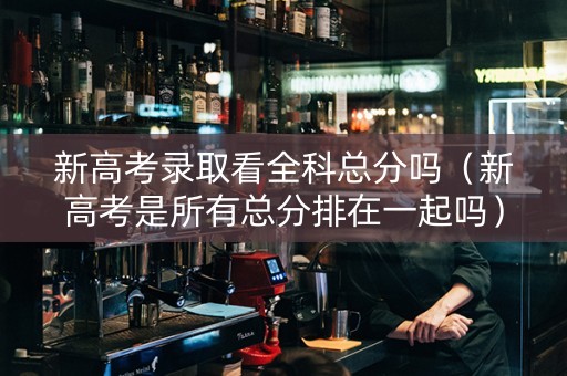 新高考录取看全科总分吗（新高考是所有总分排在一起吗）