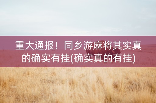 重大通报！同乡游麻将其实真的确实有挂(确实真的有挂)