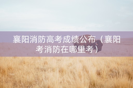 襄阳消防高考成绩公布（襄阳考消防在哪里考）