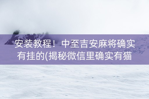 安装教程！中至吉安麻将确实有挂的(揭秘微信里确实有猫腻)