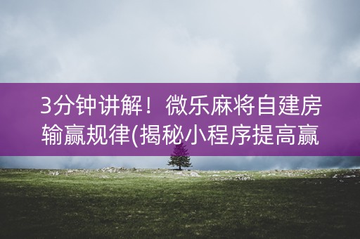 3分钟讲解！微乐麻将自建房输赢规律(揭秘小程序提高赢的概率)