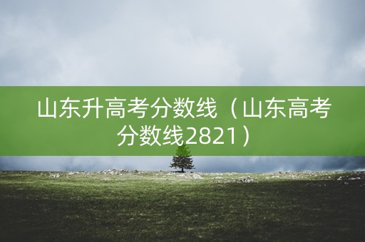 山东升高考分数线(山东高考分数线2821) 山东升高考分数线(山东高考分数线2821)