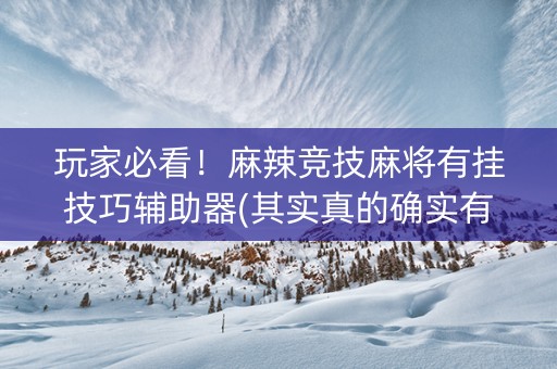 玩家必看！麻辣竞技麻将有挂技巧辅助器(其实真的确实有挂)