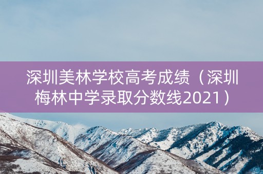 深圳美林学校高考成绩（深圳梅林中学录取分数线2021）