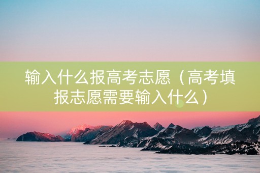 输入什么报高考志愿(高考填报志愿需要输入什么) 输入什么报高考志愿(高考填报志愿需要输入什么)