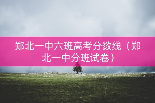 郑北一中六班高考分数线(郑北一中分班试卷) 郑北一中六班高考分数线(郑北一中分班试卷)