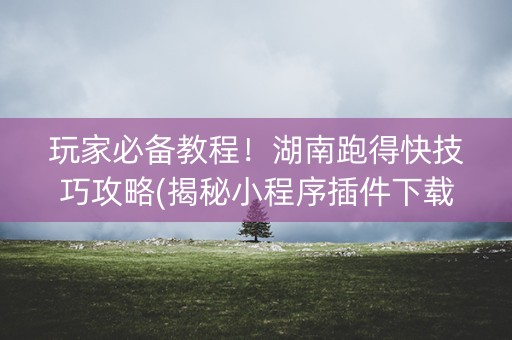 玩家必备教程！湖南跑得快技巧攻略(揭秘小程序插件下载)