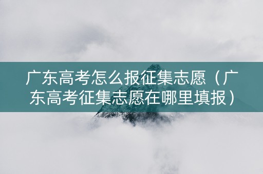 广东高考怎么报征集志愿(广东高考征集志愿在哪里填报) 广东高考怎么报征集志愿(广东高考征集志愿在哪里填报)