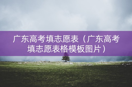 广东高考填志愿表（广东高考填志愿表格模板图片）