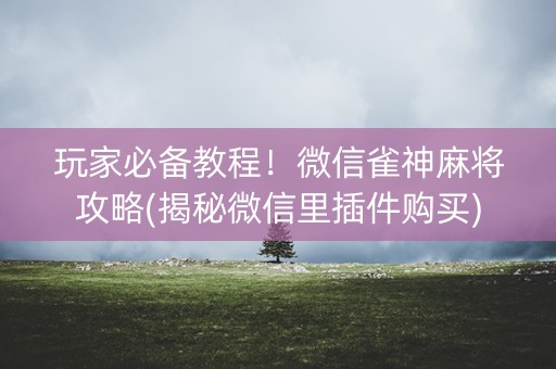 玩家必备教程！微信雀神麻将攻略(揭秘微信里插件购买)