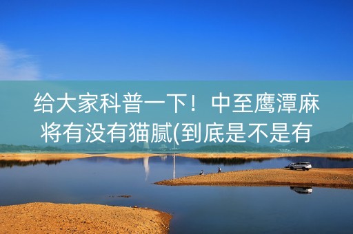 给大家科普一下！中至鹰潭麻将有没有猫腻(到底是不是有挂)