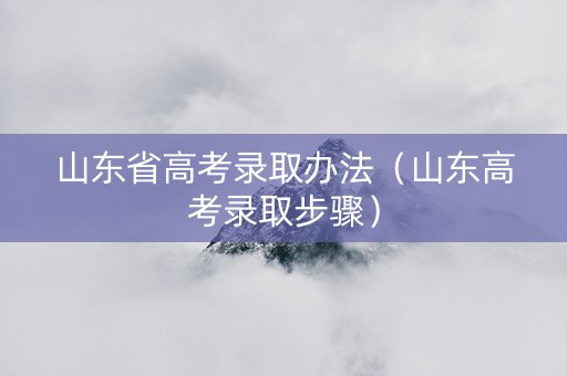 山东省高考录取办法(山东高考录取步骤) 山东省高考录取办法(山东高考录取步骤)