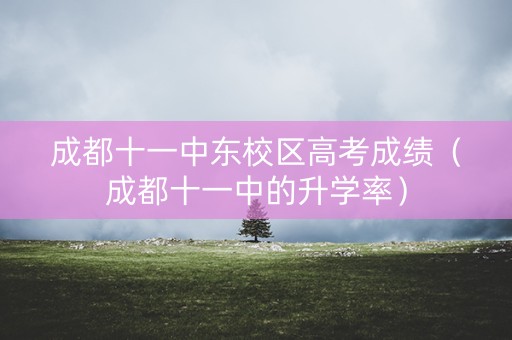成都十一中东校区高考成绩(成都十一中的升学率) 成都十一中东校区高考成绩(成都十一中的升学率)