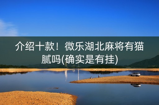 介绍十款！微乐湖北麻将有猫腻吗(确实是有挂)
