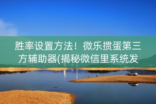 胜率设置方法！微乐掼蛋第三方辅助器(揭秘微信里系统发好牌)