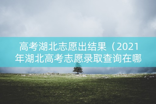 高考湖北志愿出结果(2021年湖北高考志愿录取查询在哪里看) 高考湖北志愿出结果(2021年湖北高考志愿录取查询在哪里看)
