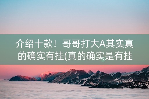 介绍十款！哥哥打大A其实真的确实有挂(真的确实是有挂)