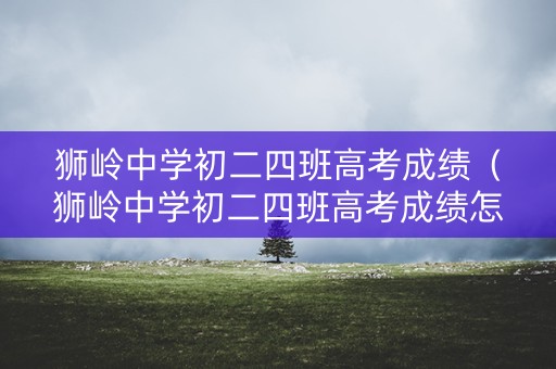狮岭中学初二四班高考成绩（狮岭中学初二四班高考成绩怎么样）
