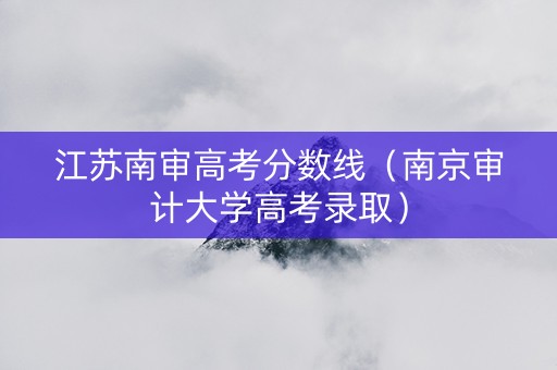 江苏南审高考分数线(南京审计大学高考录取) 江苏南审高考分数线(南京审计大学高考录取)