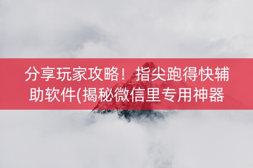 分享玩家攻略！指尖跑得快辅助软件(揭秘微信里专用神器)