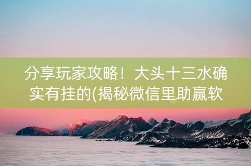 分享玩家攻略！大头十三水确实有挂的(揭秘微信里助赢软件)