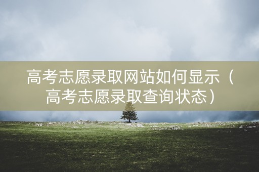 高考志愿录取网站如何显示(高考志愿录取查询状态) 高考志愿录取网站如何显示(高考志愿录取查询状态)