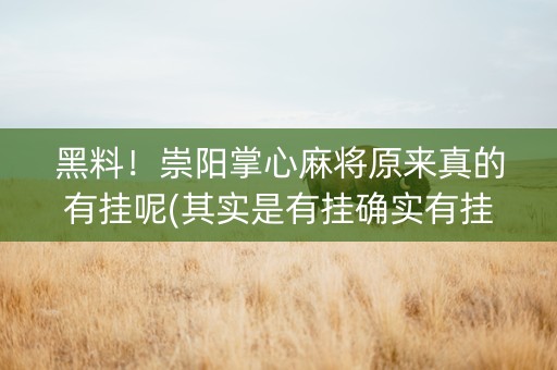 黑料！崇阳掌心麻将原来真的有挂呢(其实是有挂确实有挂)