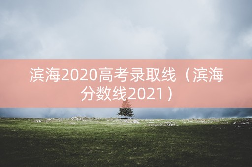 滨海2020高考录取线(滨海分数线2021) 滨海2020高考录取线(滨海分数线2021)