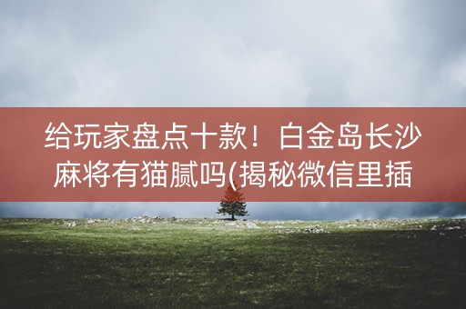 给玩家盘点十款！白金岛长沙麻将有猫腻吗(揭秘微信里插件购买)