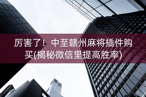 厉害了！中至赣州麻将插件购买(揭秘微信里提高胜率)