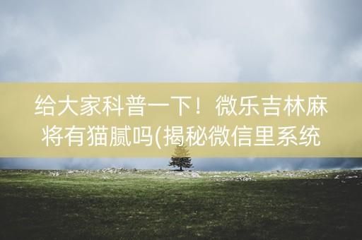 给大家科普一下！微乐吉林麻将有猫腻吗(揭秘微信里系统发好牌)