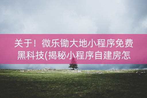 关于！微乐锄大地小程序免费黑科技(揭秘小程序自建房怎么赢)