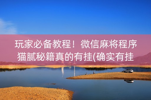 玩家必备教程！微信麻将程序猫腻秘籍真的有挂(确实有挂)