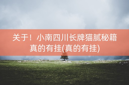 关于！小南四川长牌猫腻秘籍真的有挂(真的有挂)