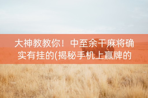 大神教教你！中至余干麻将确实有挂的(揭秘手机上赢牌的技巧)