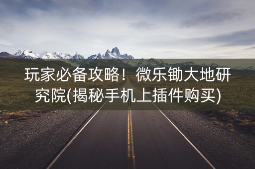 玩家必备攻略！微乐锄大地研究院(揭秘手机上插件购买)