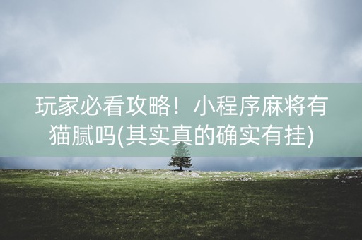 玩家必看攻略！小程序麻将有猫腻吗(其实真的确实有挂)