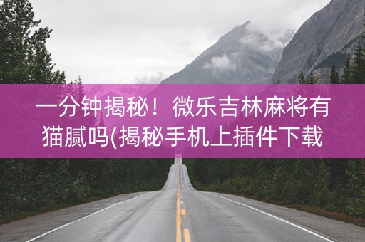 一分钟揭秘！微乐吉林麻将有猫腻吗(揭秘手机上插件下载)