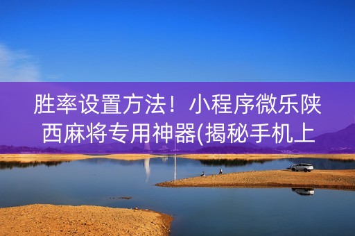 胜率设置方法！小程序微乐陕西麻将专用神器(揭秘手机上辅牌器)
