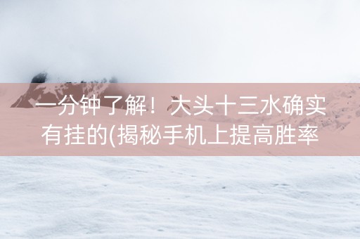 一分钟了解！大头十三水确实有挂的(揭秘手机上提高胜率)